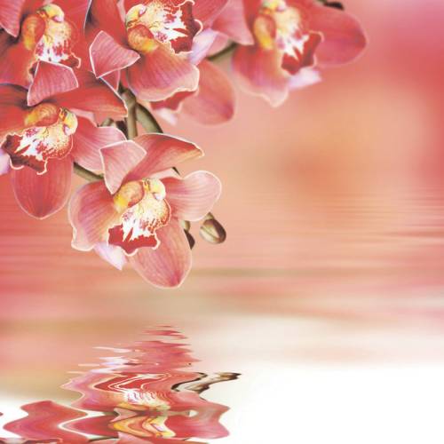 Шторка д/в тканевая MZ-141 "Орхидеи у воды" 180х200см