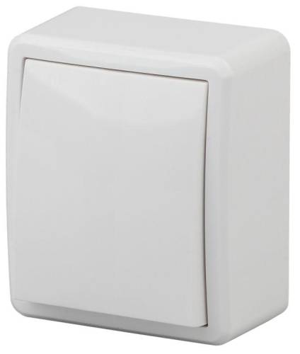 Выключатель 1-кл. ОП Эра Эксперт 10А IP20 10AX бел. Эра Б0020653