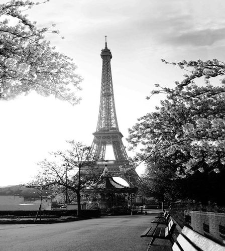 Шторка д/в тканевая MZ-70 "Эйфелева башня" 180х180см